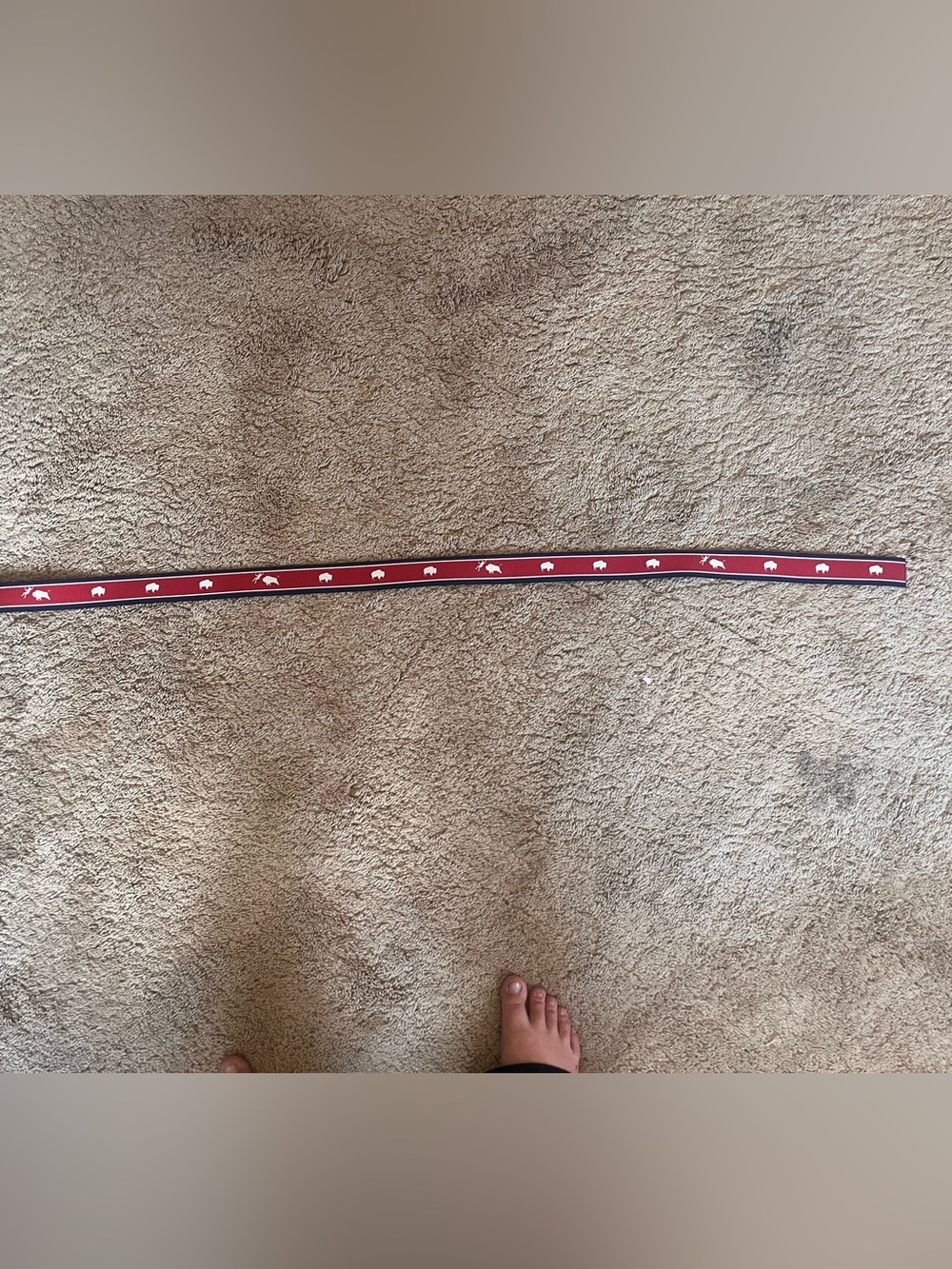 Mountain Khakis Men’s Buffalo Striped Red Ribbon Belt w/ Stainless Steel Buckle